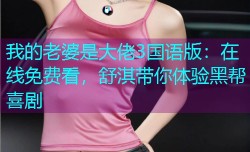 我的老婆是大佬3国语版:在线免费看,舒淇带你体验黑帮喜剧