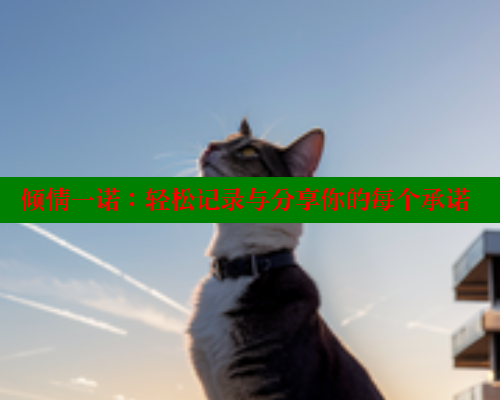 倾情一诺:轻松记录与分享你的每个承诺 欲漫涩平台 第1张 倾情一诺:轻松记录与分享你的每个承诺 欲漫涩平台 第1张
