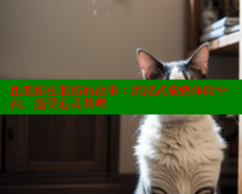 比悲伤更悲伤的故事:沉浸式情感体验平台,感受心灵共鸣 欲漫涩 第1张 比悲伤更悲伤的故事:沉浸式情感体验平台,感受心灵共鸣 欲漫涩 第1张