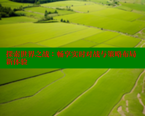 探索世界之战:畅享实时对战与策略布局新体验