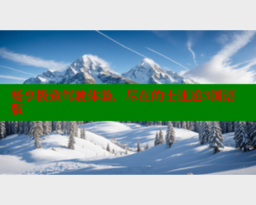 畅享极致驾驶体验,尽在的士速递3国语版