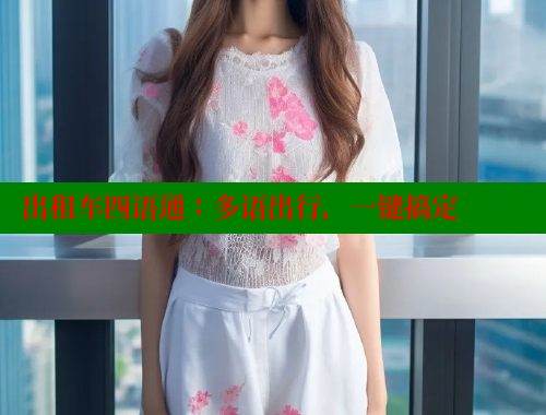 出租车四语通:多语出行,一键搞定